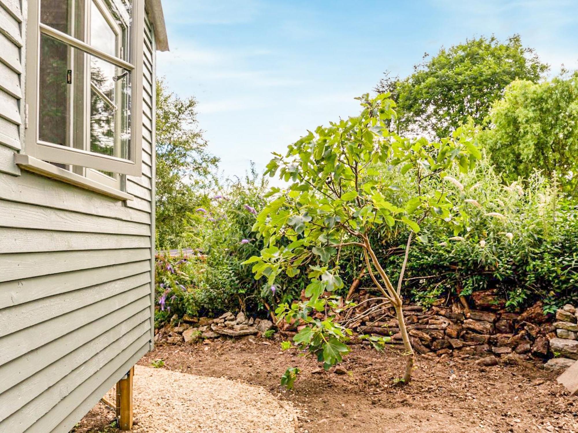 Fig Tree Shepherds Hut Bridport Εξωτερικό φωτογραφία